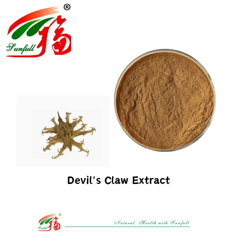 خالص طبیعی CAS 19210-12-9 Harpagophytum Procumbens پودر 5٪ Harpagoside Devils Claw Extract