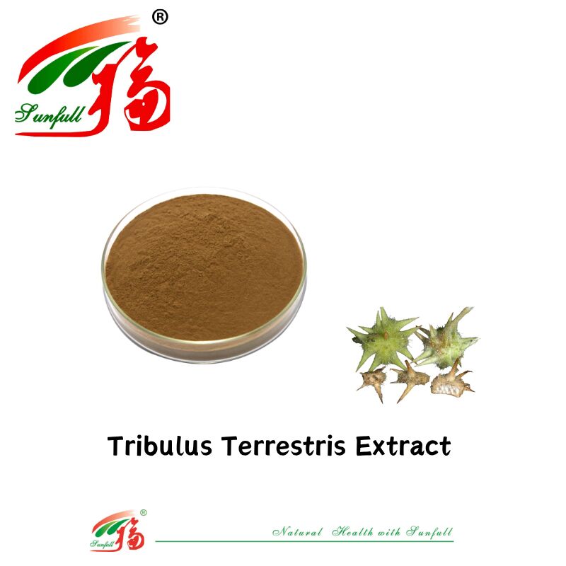 چین کارخانه فروش گرم مرد سلامت درجه غذایی عصاره Tribulus نمونه رایگان عصاره Tribulus Terrestris پودر 40٪ -90٪ ساپونین