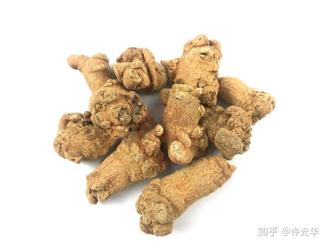 عرضه کارخانه مکمل های غذایی 10٪ 40٪ 80٪ Notoginsenosides Panax عصاره ریشه Notoginseng