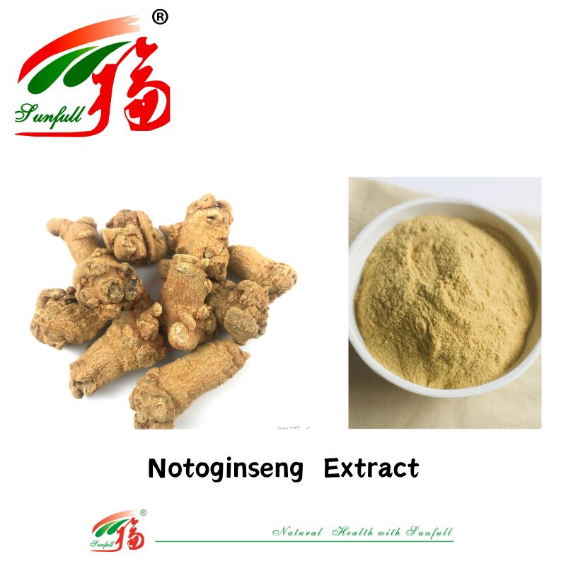 عرضه کارخانه مکمل های غذایی 10٪ 40٪ 80٪ Notoginsenosides Panax عصاره ریشه Notoginseng