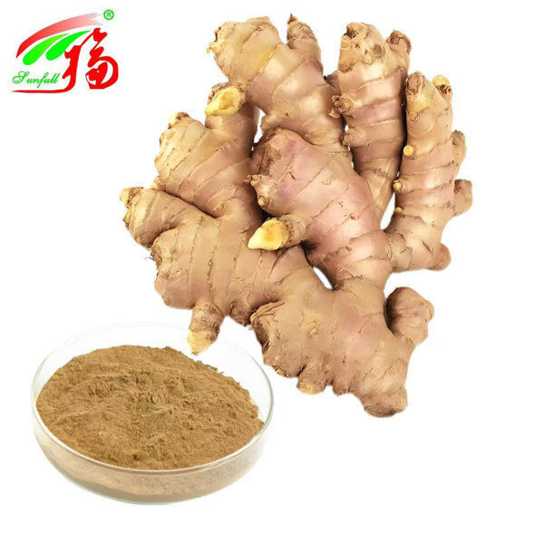 عصاره زنجبیل عصاره ریشه زنجبیل زنجبیل 10٪ 5٪ 1٪ راحتی گوارشی پشتیبانی تنفسی و تحرک مفاصل