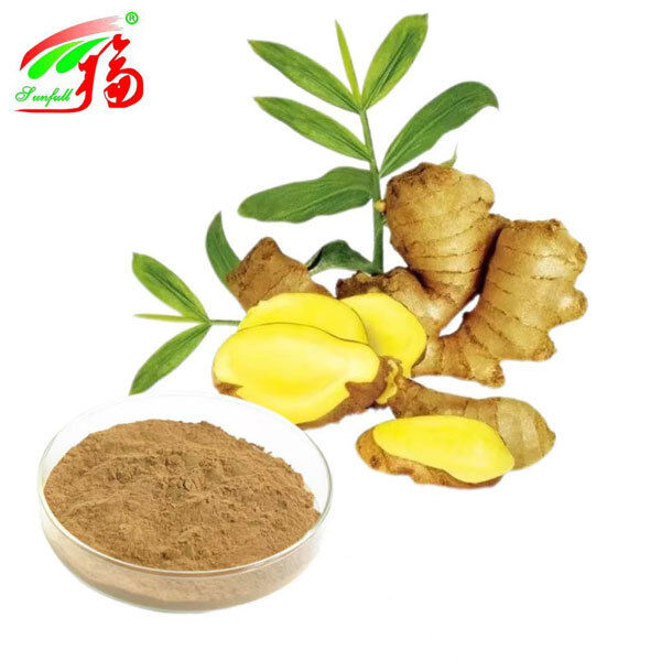 عصاره زنجبیل عصاره ریشه زنجبیل زنجبیل 10٪ 5٪ 1٪ راحتی گوارشی پشتیبانی تنفسی و تحرک مفاصل
