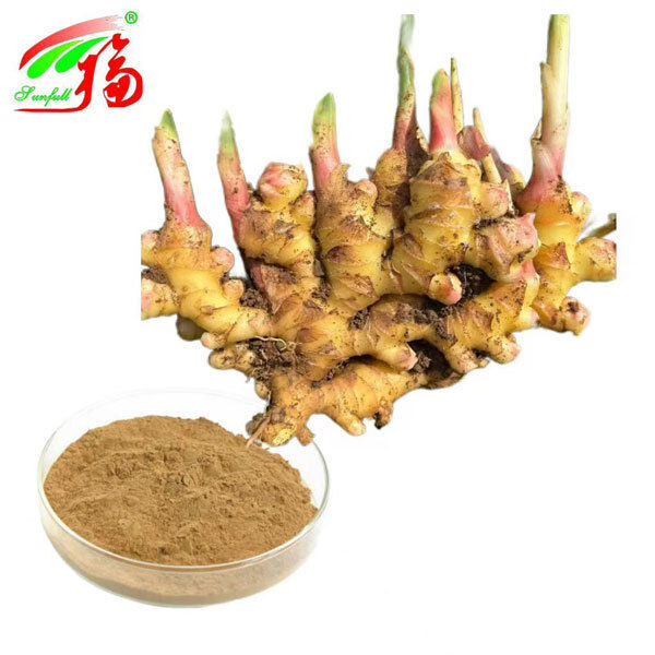 عصاره زنجبیل عصاره ریشه زنجبیل زنجبیل 10٪ 5٪ 1٪ راحتی گوارشی پشتیبانی تنفسی و تحرک مفاصل