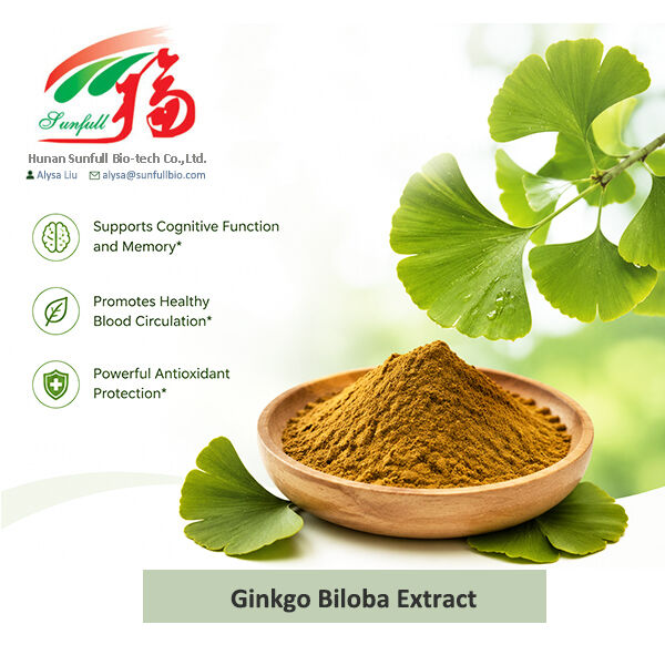 استخراج طبیعی جینکو بیلوبا Cp/ USP/ Ep/ محلول در آب