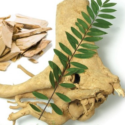 مکمل ضد ویروسی Eurycoma longifolia 2.5% Eurycomanone Eurycoma longifolia برای بازیابی خستگی