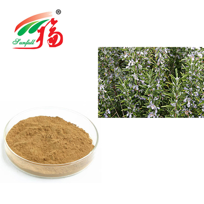 عصاره رزماری 30٪ اسید رزمارینیک برای ضد پیری Rosmarinus Officinalis
