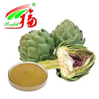 Artichoke Extract 5% Cynarin CAS 30964-13-7 Artichoke Herb Extract Powder