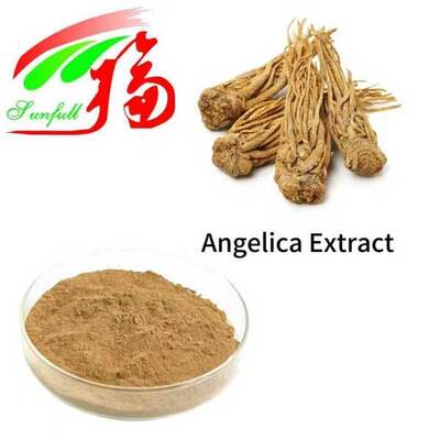 Angelica Extract 1% 1.5% Liguistlide 0.1% 0.3% اسید فروولیک چینی Dong Quai Extract