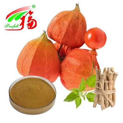 Withania Somnifera آفریقای جنوبی Withanolides 5٪ عصاره ریشه اشواگاندا مواد غذایی محصولات بهداشتی