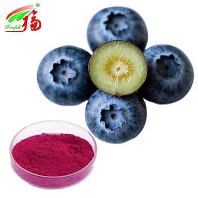 Blueberry Extract Powder Vaccinium Uliginosum L Anthocyanidins 5% -25%