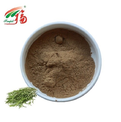 پودر آنتی اکسیدان عصاره رزماری HPLC اسید رزمارینیک برای افزودنی مواد غذایی